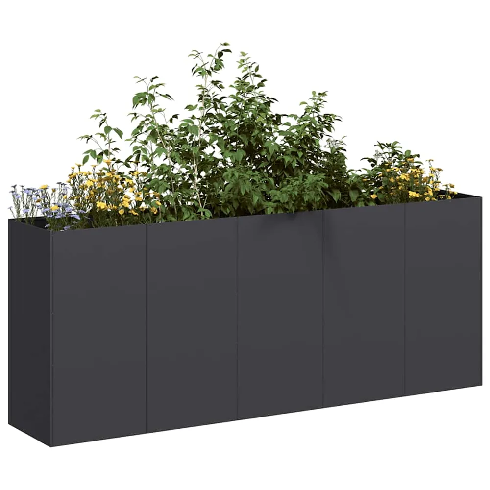 vidaXL Jardinière noir 200x40x80 cm acier laminé à froid